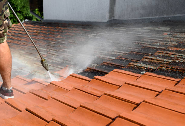 Best Best Pressure Washing Companies  in Lake Park, NC
